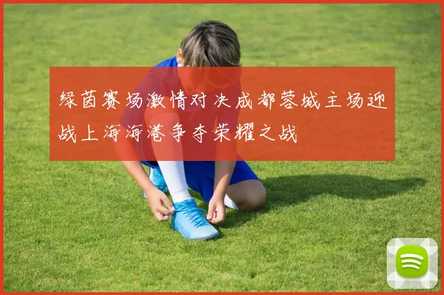 绿茵赛场激情对决成都蓉城主场迎战上海海港争夺荣耀之战